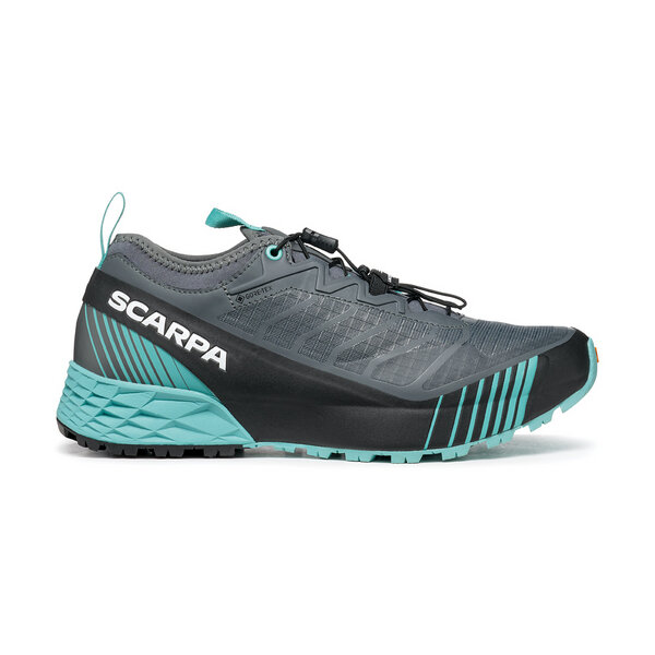 Gojzerice Cipele Scarpa RIBELLE RUN GTX WMN