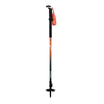 EVO FEATHER PRO carbon